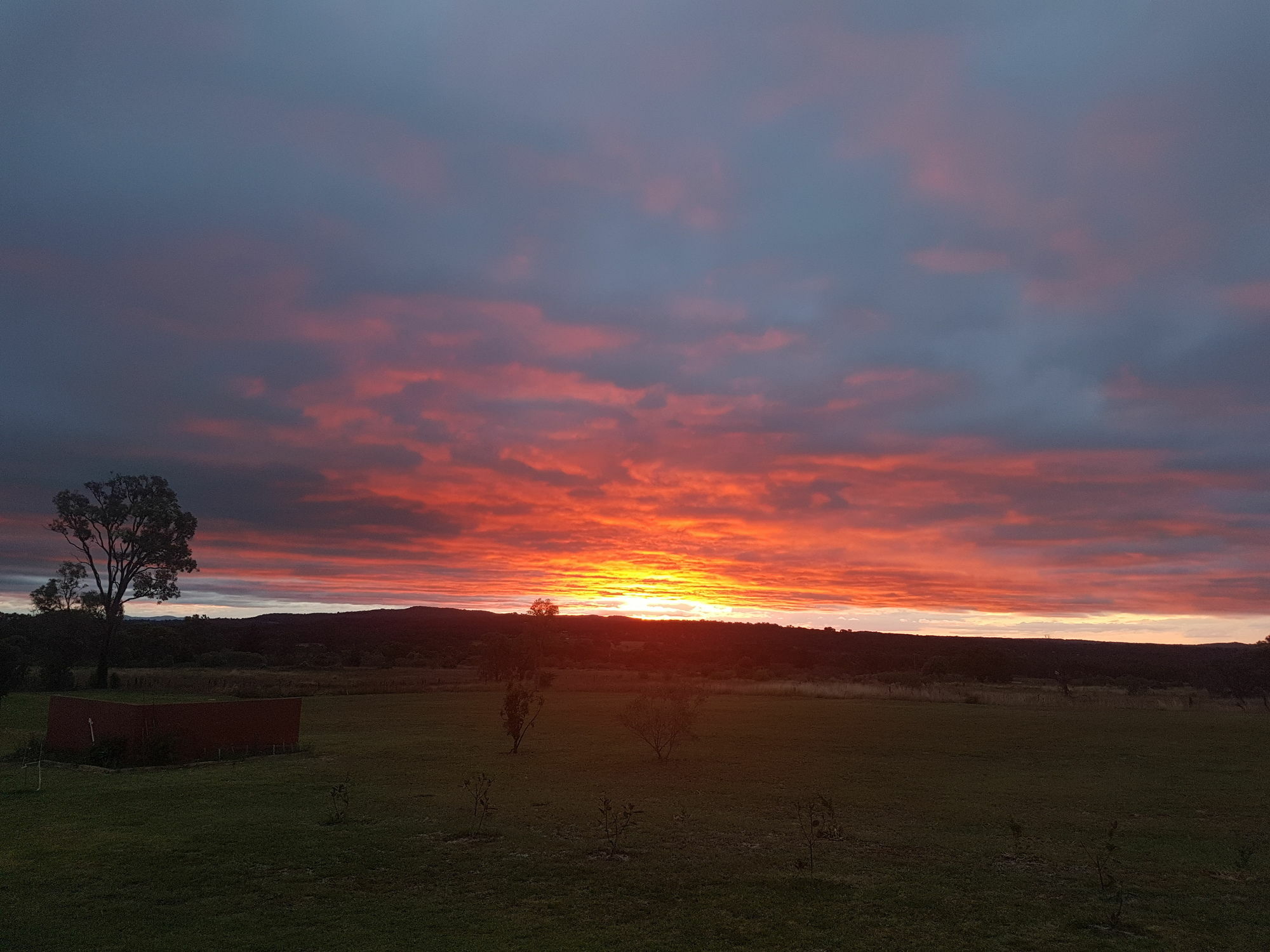 Bed and Breakfast Grovely House Stanthorpe Exterior foto